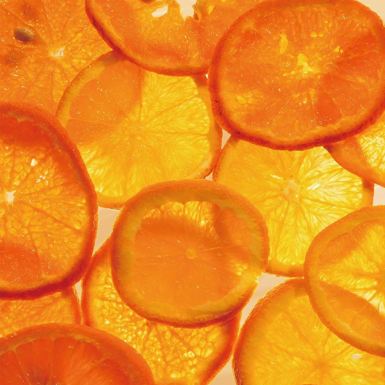 1905 トワイライトアンバー