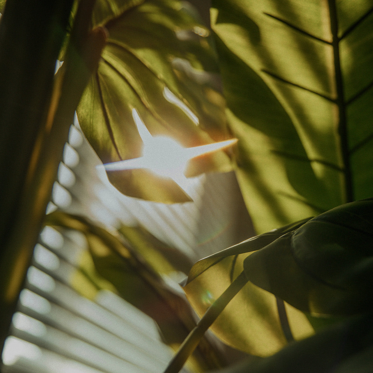 1983 ゴッテスインベイル