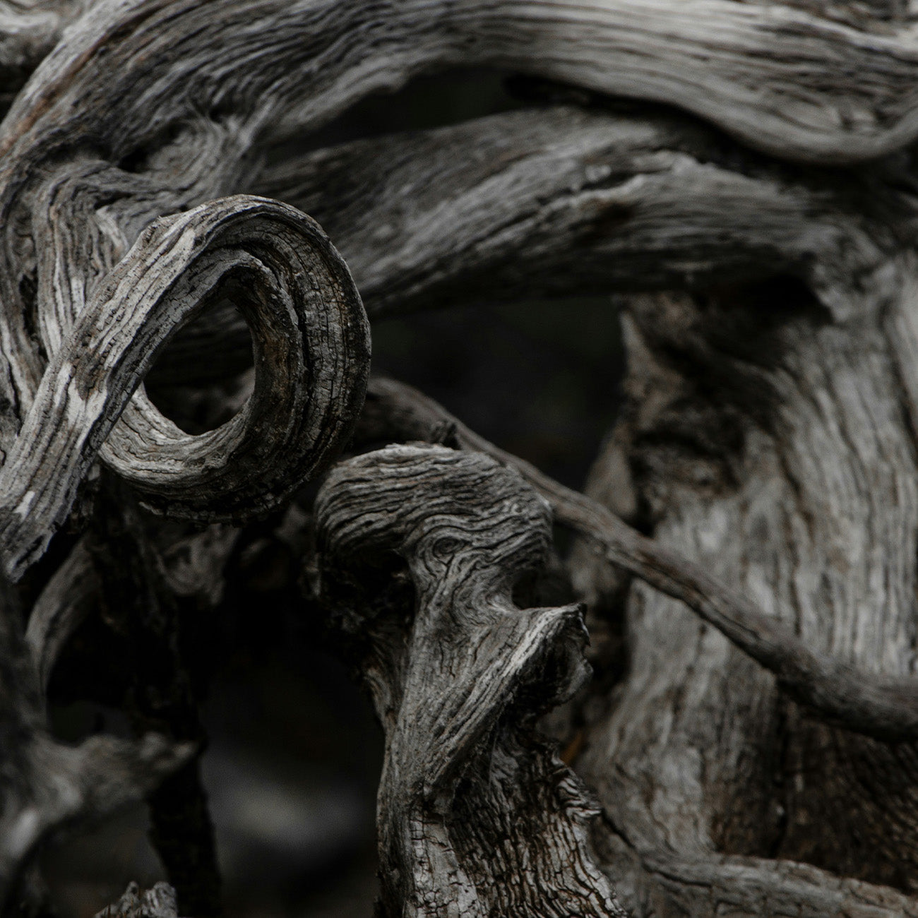 1306 アフターセックス