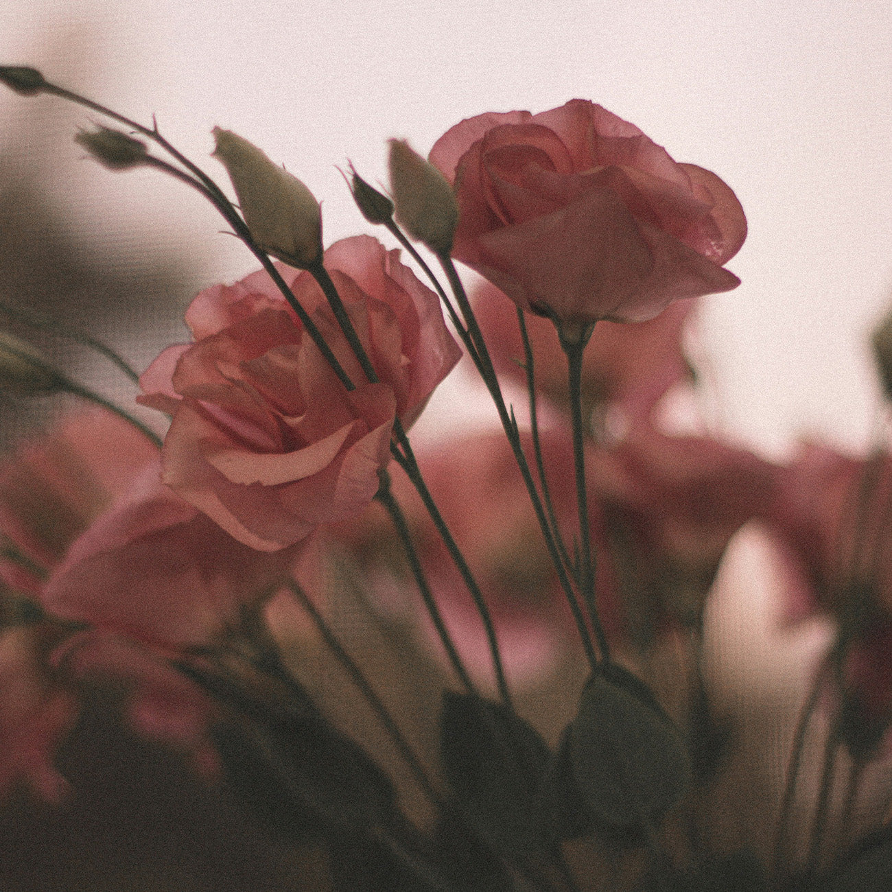 1319 キスマーク