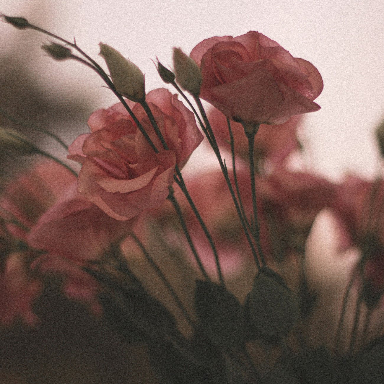 2912 パンドラシークレット