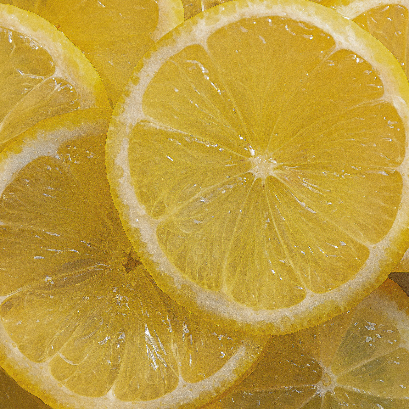 2918 スノーフレーク