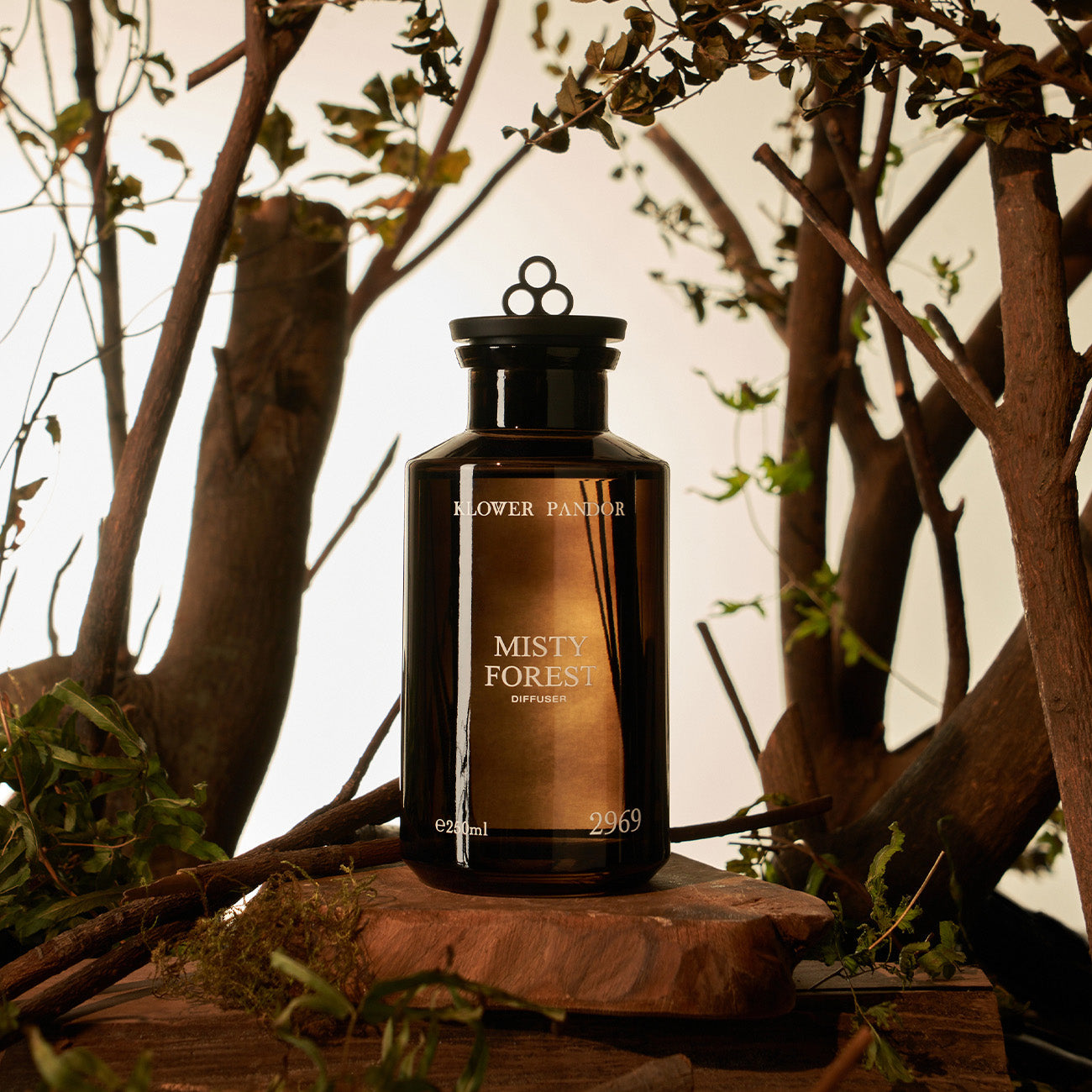 2969 ミスティーフォレスト