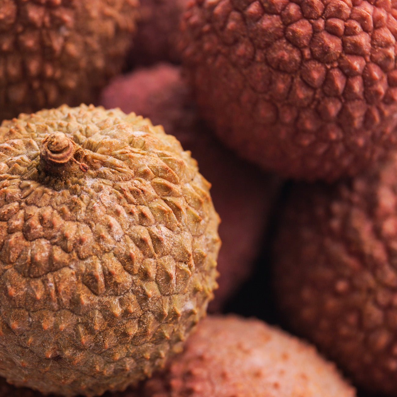 1912 パンドラシークレット